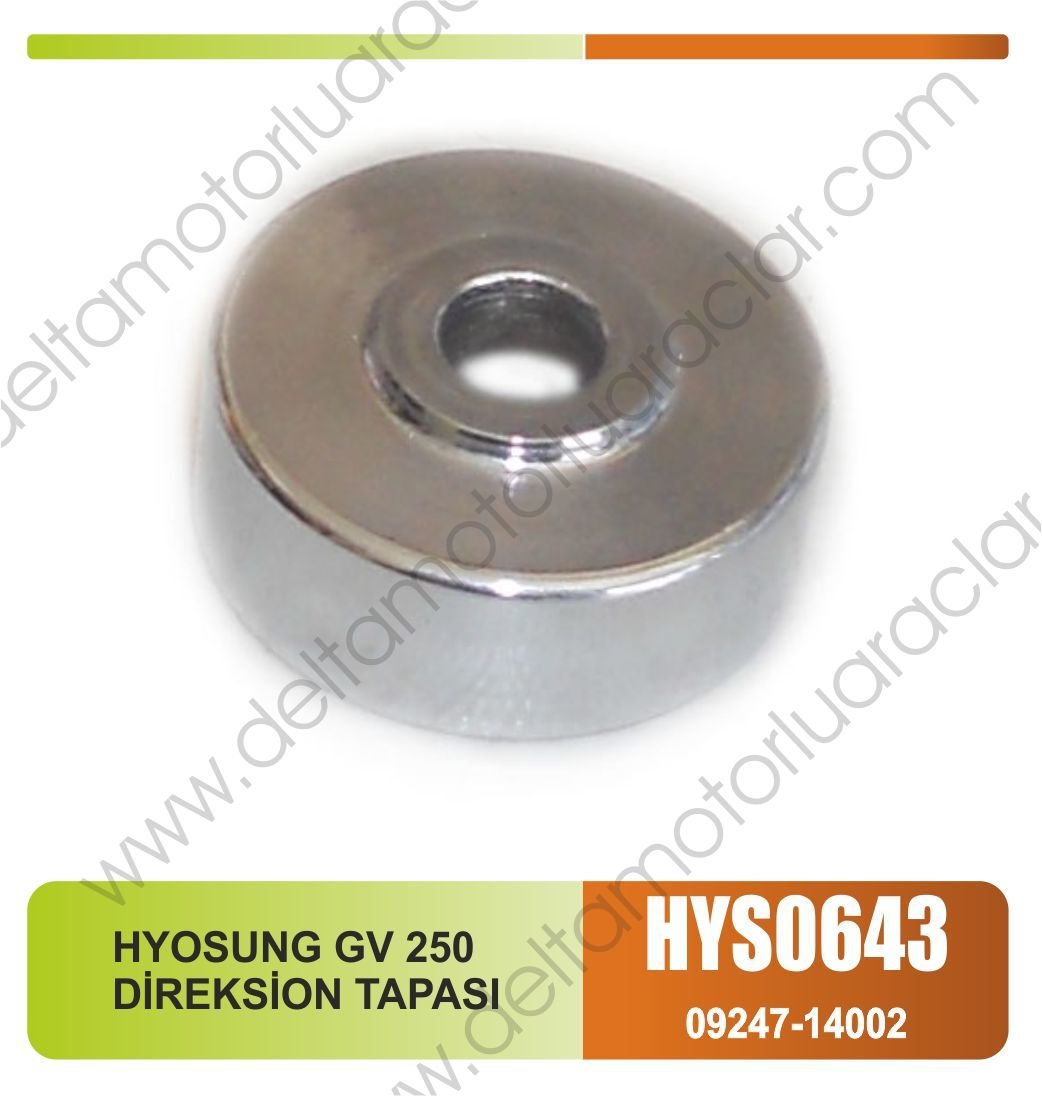 HYOSUNG GV 250 DİREKSİYON TAPASI
