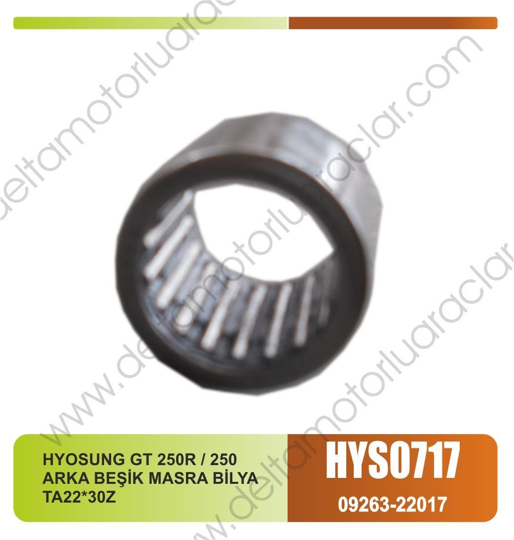 HYOSUNG GT 250R / 250 ARKA BEŞİK MASRA BİLYA TA22*30Z