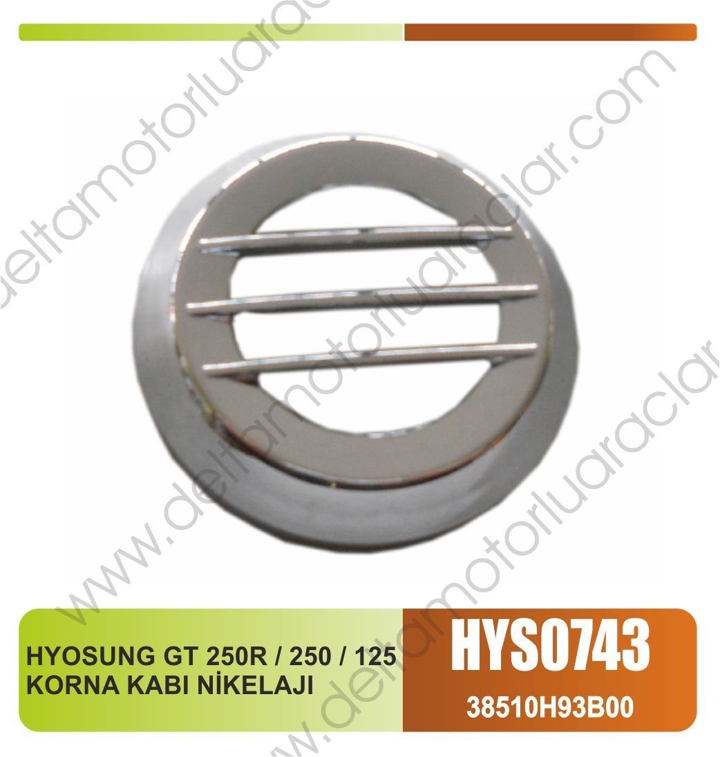 HYOSUNG GT 250R / 250 / 125 KORNA KABI NİKELAJI