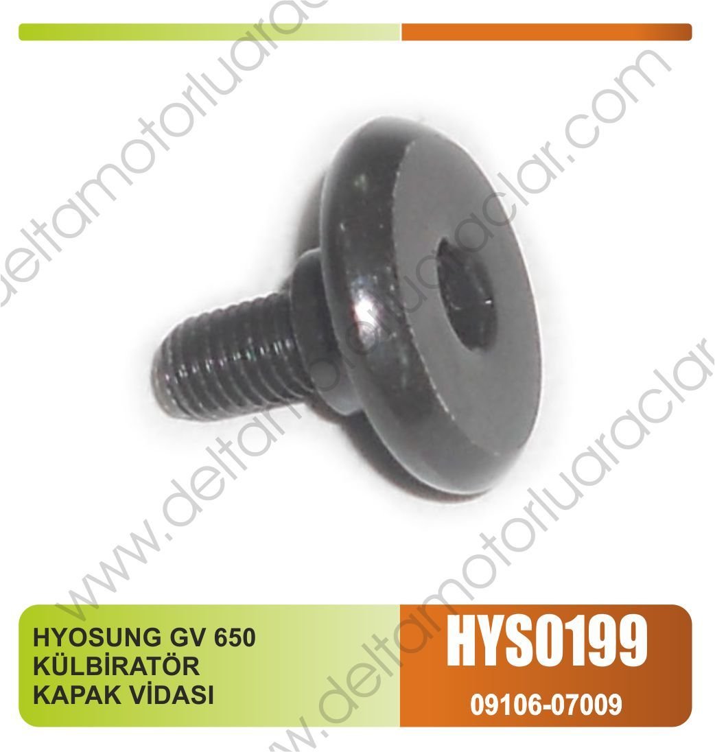 HYOSUNG GV 650 KÜLBİRATÖR KAPAK VİDASI
