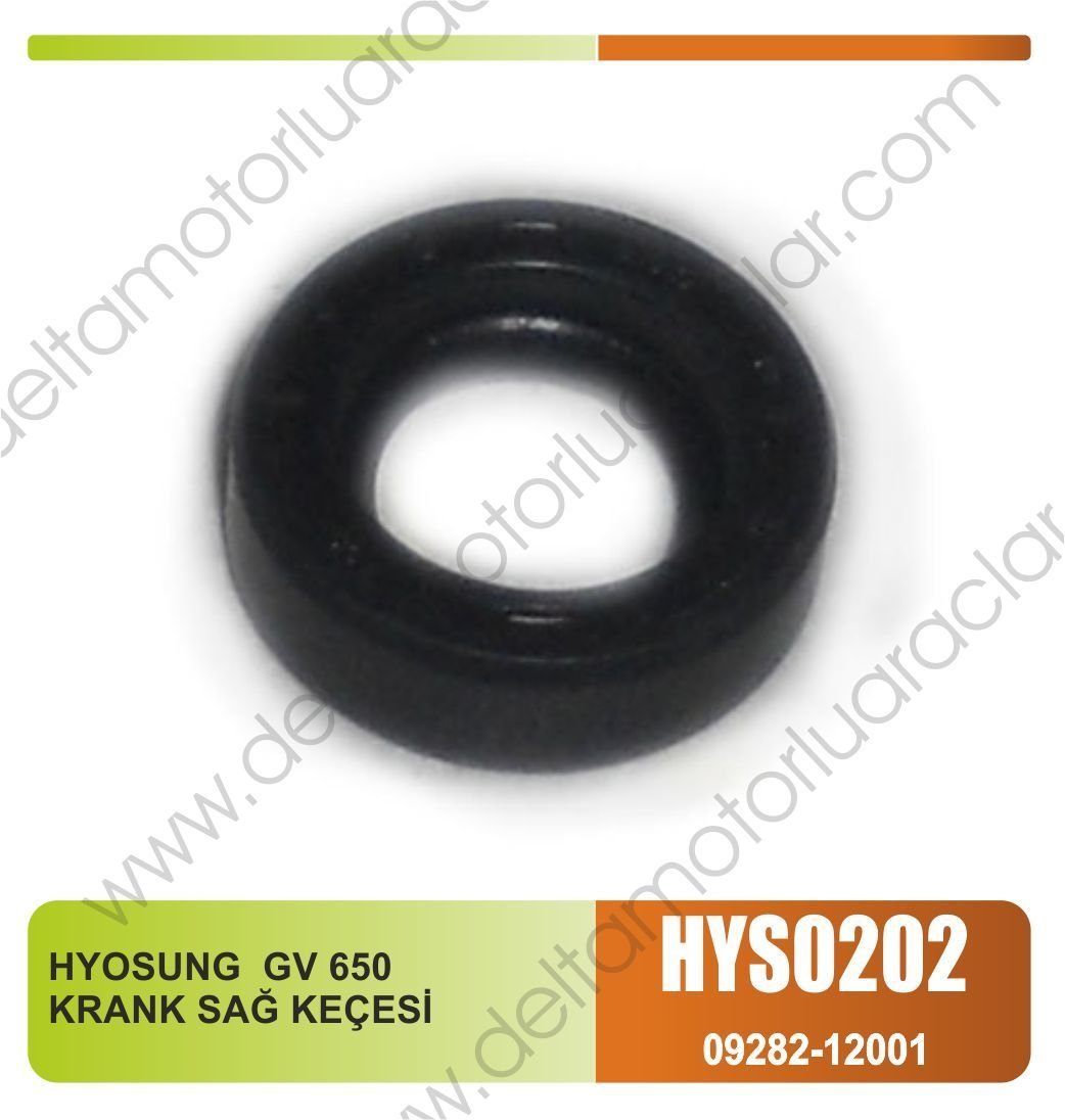 HYOSUNG GV 650 KRANK SAĞ KEÇESİ
