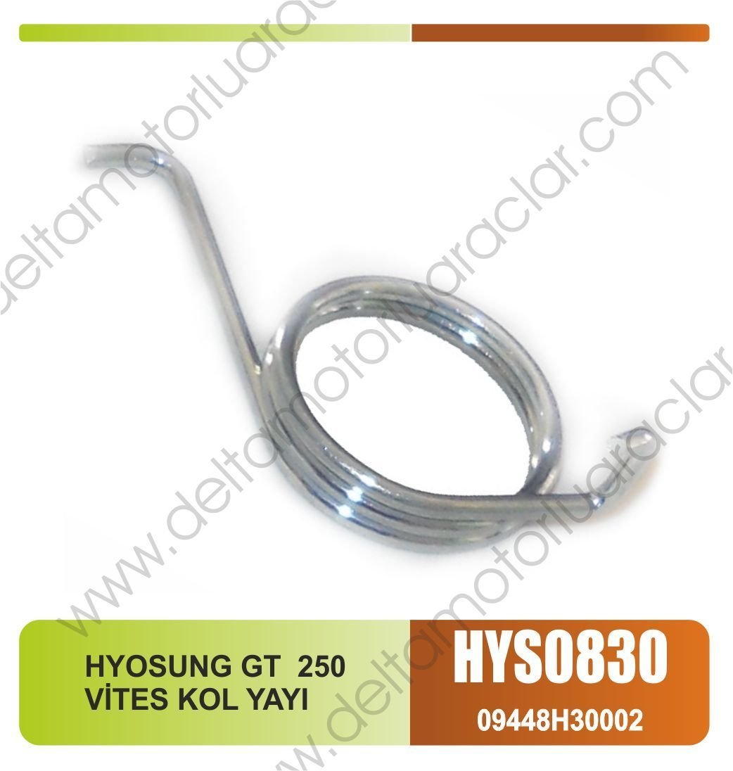 HYOSUNG GT 250 VİTES KOL YAYI