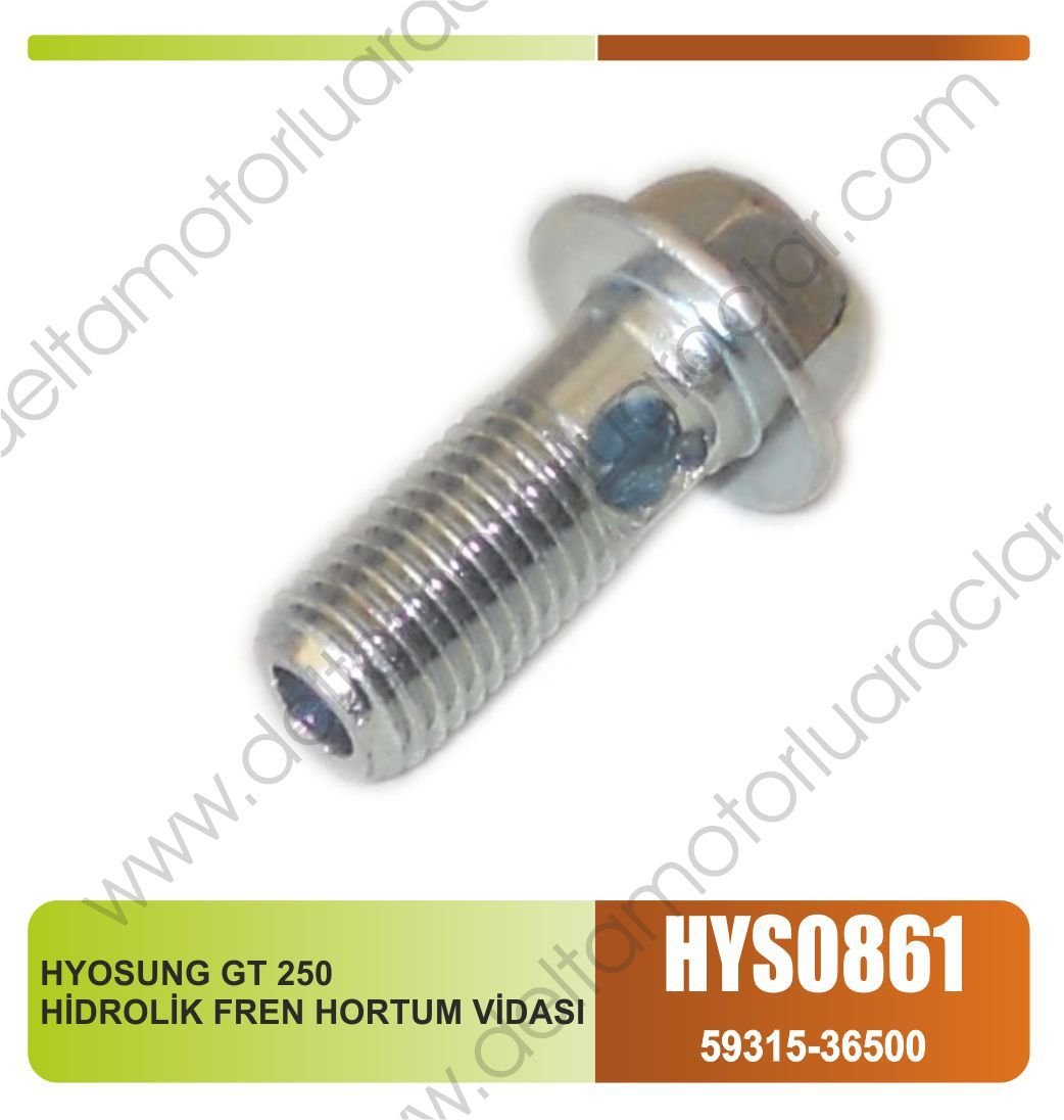 HYOSUNG GT 250 HİDROLİK FREN HORTUM VİDASI