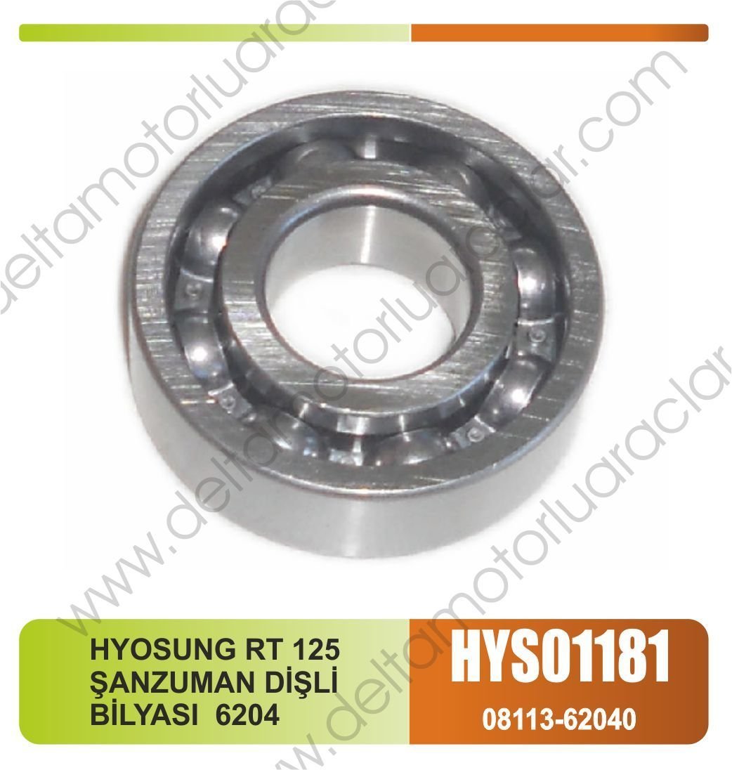 125 ŞANZUMAN DİŞLİ BİLYASI 6204