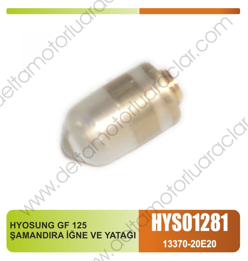 HYOSUNG GF 125 ŞAMANDIRA İĞNE VE YATAĞI