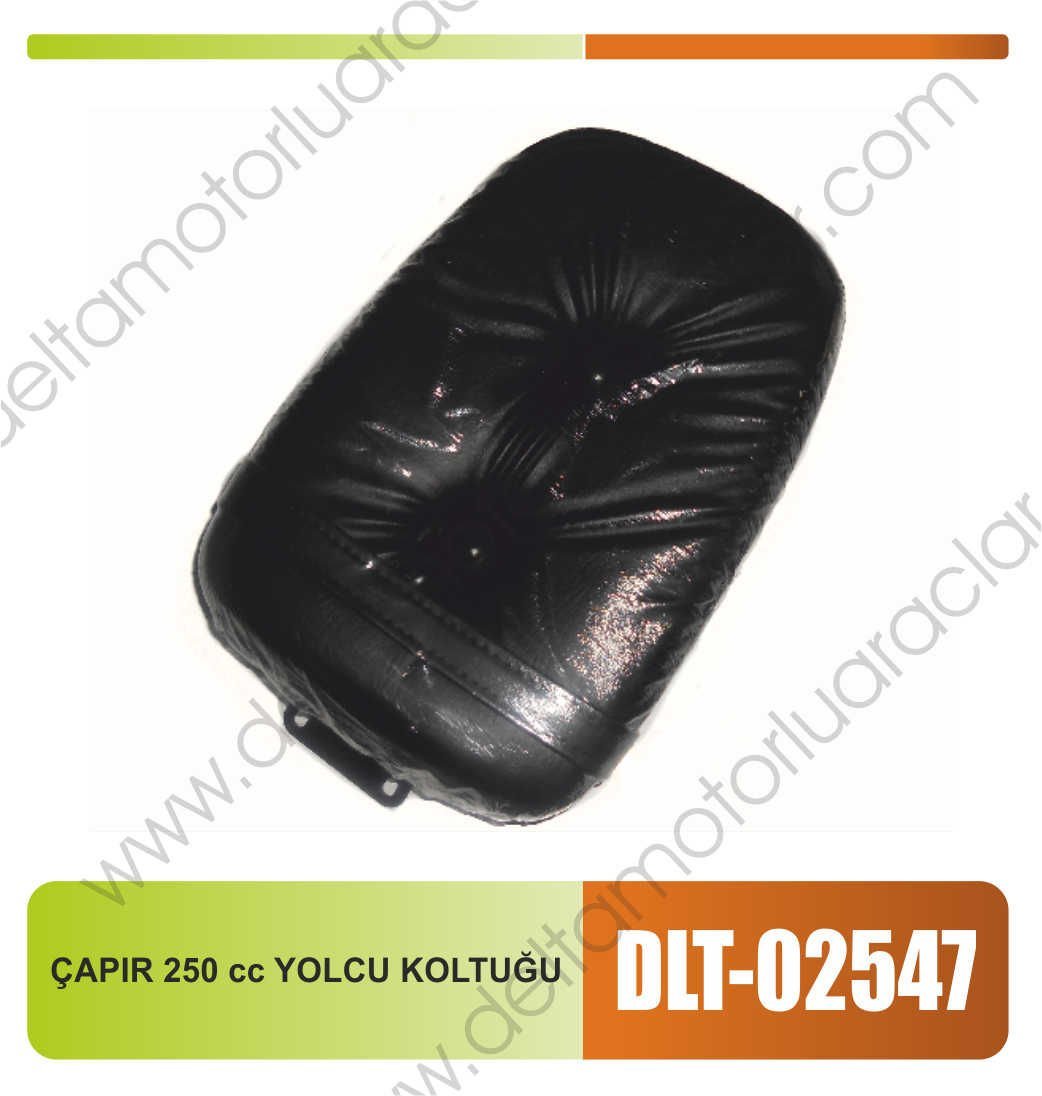 CHOPPER 250cc YOLCU KOLTUĞU