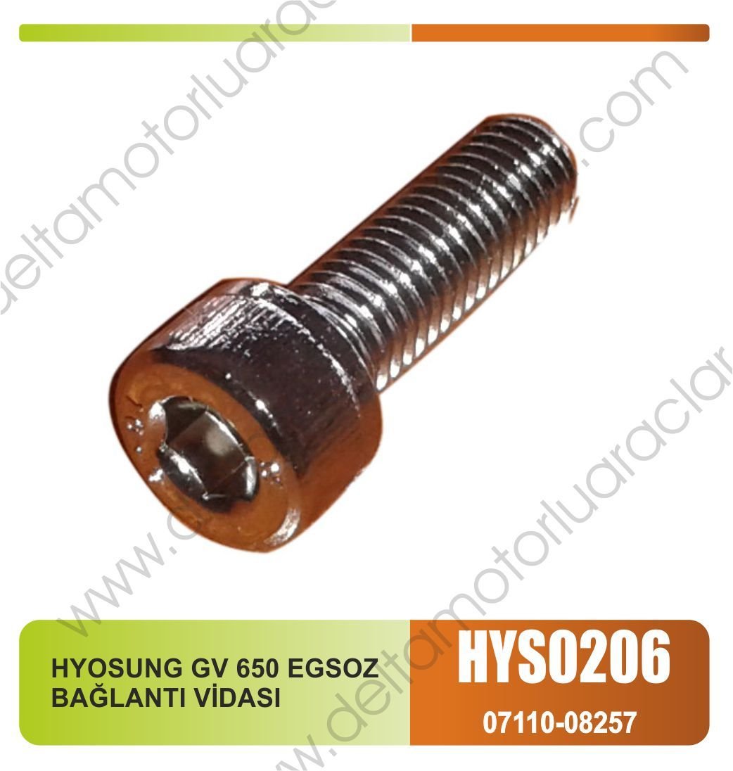 HYOSUNG GV 650 EGSOZ  BAĞLANTI VİDASI