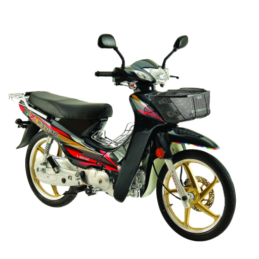 CUP 100 - 110 - 125 cc