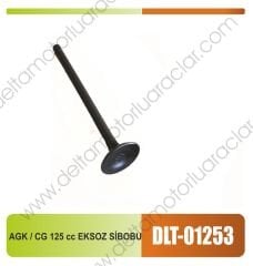 AGK / CG 125 cc EKSOZ SİBOBU