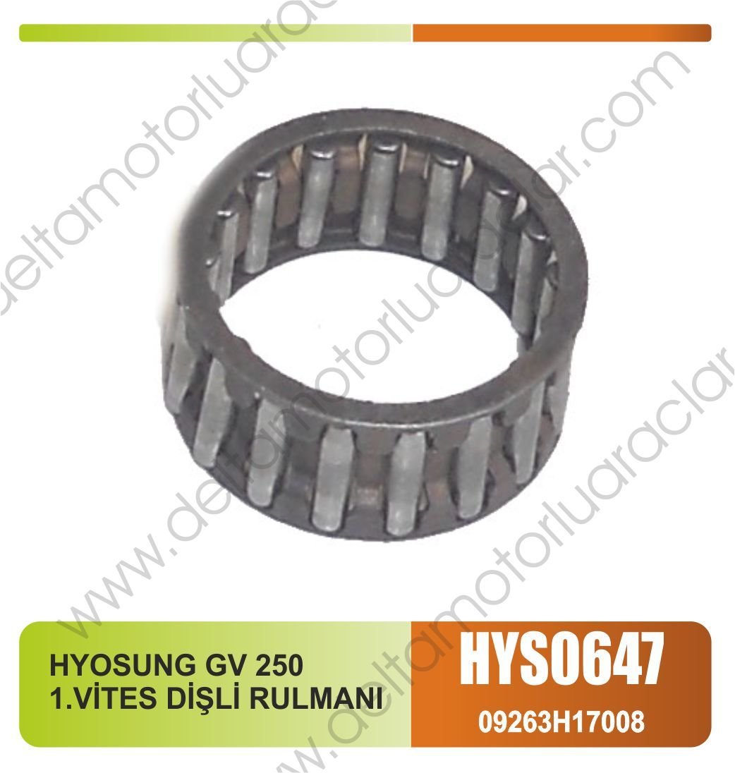 HYOSUNG GV 250 1.VİTES DİŞLİ RULMANI