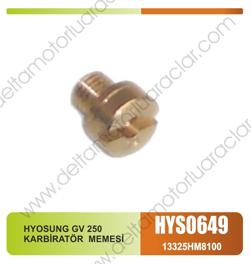 HYOSUNG GV 250 KARBİRATÖR  MEMESİ