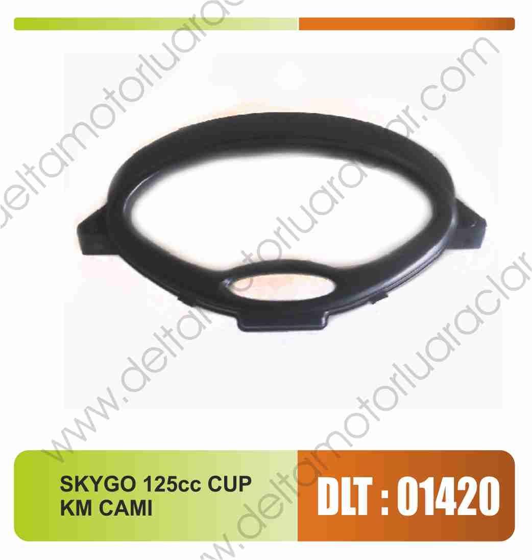 SKYGO 125CC KM CAMI