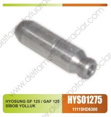 HYOSUNG GF 125 / GAF 125 SİBOB YOLLUĞU