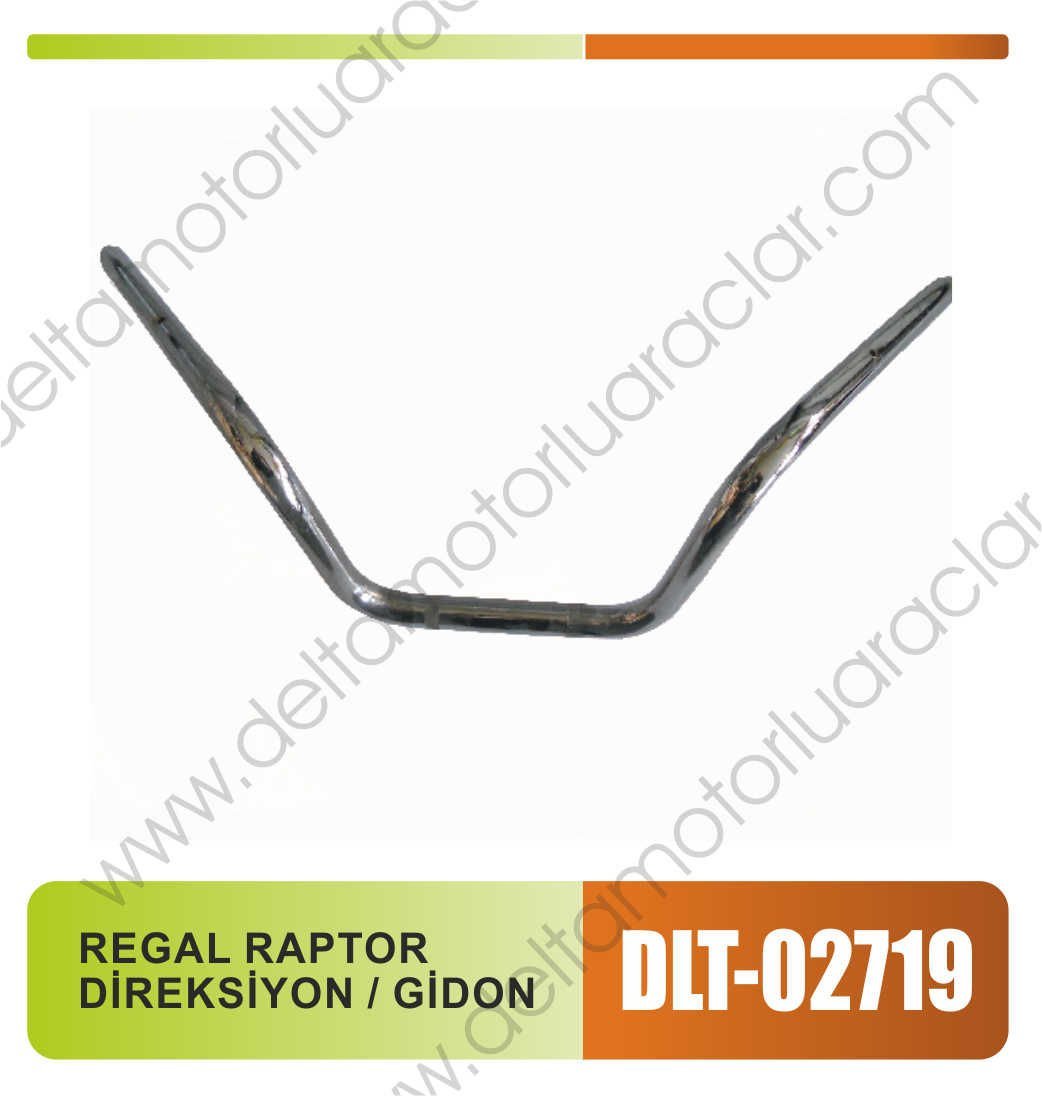 REGAL RAPTOR DİREKSİYON / GİDON