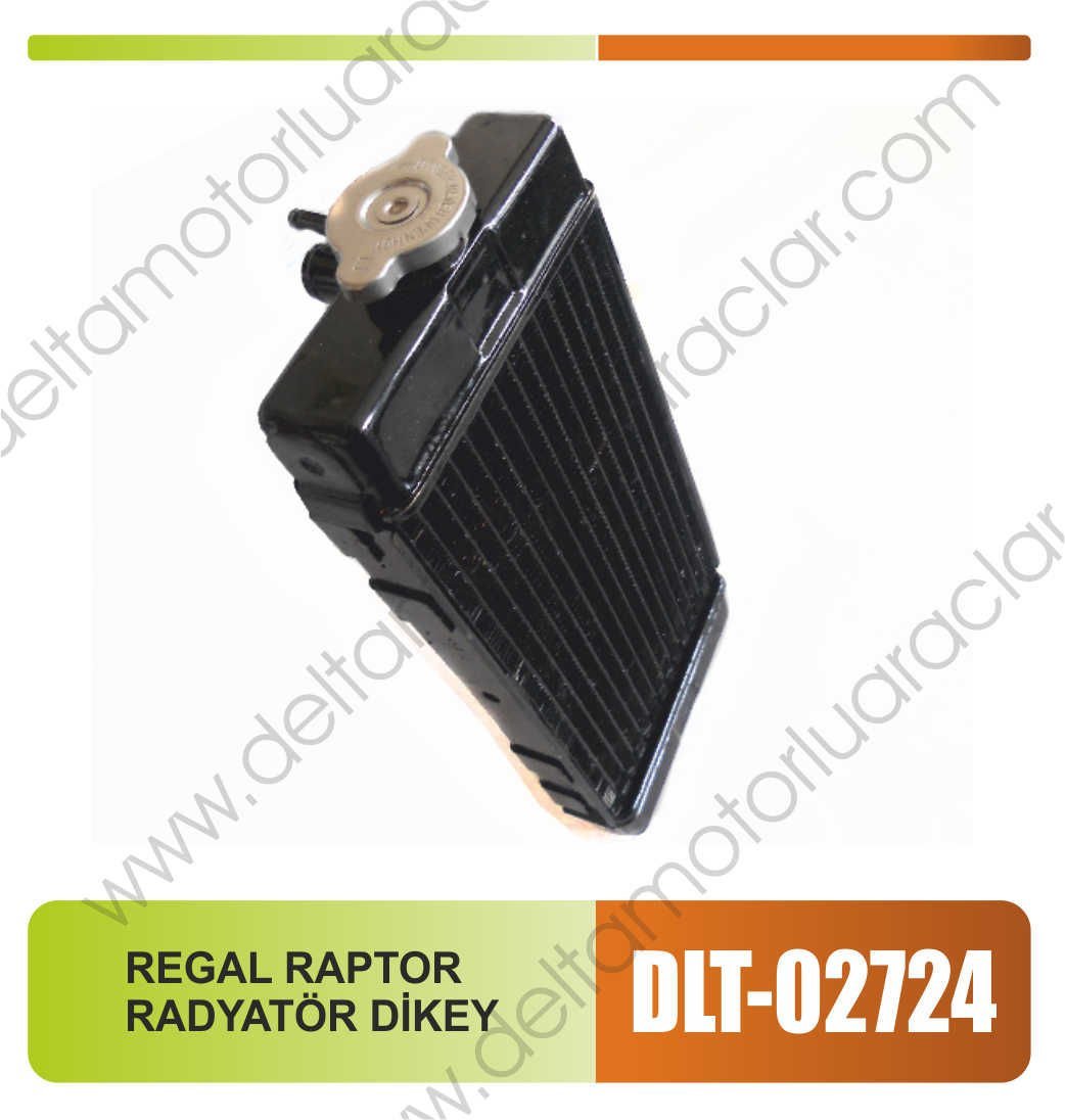 REGAL RAPTOR RADYATÖR DİKEY