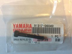 YAMAHA TTR250 ORİJİNAL KARTER CİVATA 91317-06040