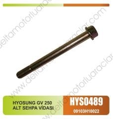 HYOSUNG GV 250 ALT SEHPA VİDASI