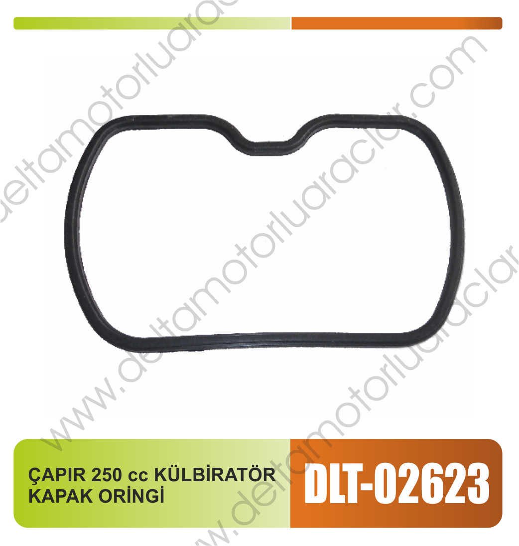 CHOPPER 250cc KÜLBİRATÖR KAPAK ORİNGİ